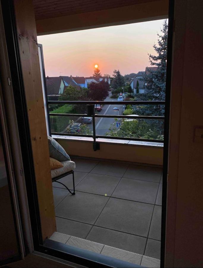 La Silberrunz Apartment Colmar Bagian luar foto